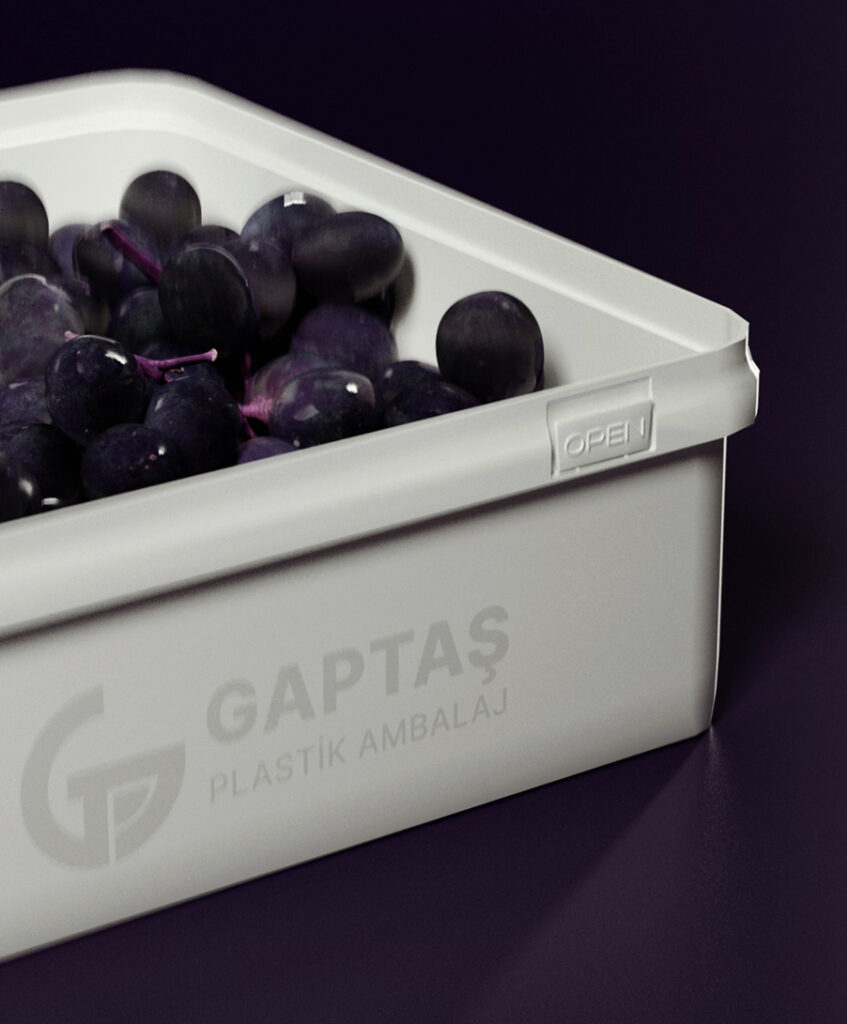 WEB-PORTFOLIO-1-5LTTAVA-1